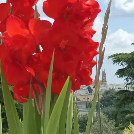 Sognando Отель типа 