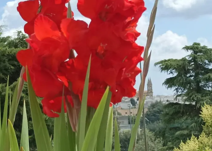 Sognando Bed & Breakfast