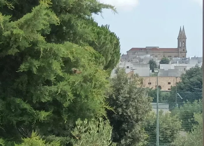 Bed & Breakfast Sognando Alberobello